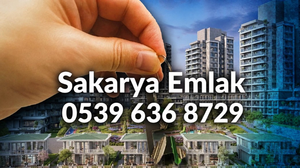 Söğütlü Emlak